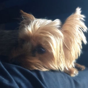 Meet your Posher, Christian